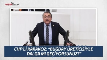 CHP&rsquo;Lİ KARAKOZ: &ldquo;BUĞDAY &Uuml;RETİCİSİYLE DALGA MI GE&Ccedil;İYORSUNUZ?&rdquo;