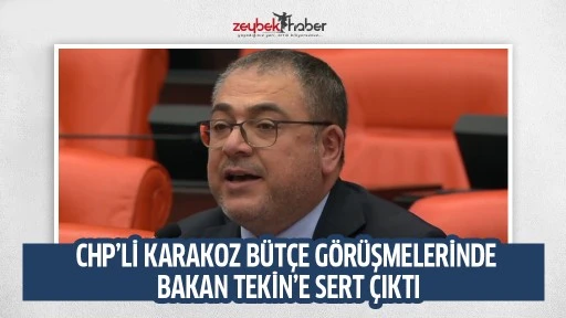 CHP&rsquo;Lİ KARAKOZ B&Uuml;T&Ccedil;E G&Ouml;R&Uuml;ŞMELERİNDE BAKAN TEKİN&rsquo;E SERT &Ccedil;IKTI