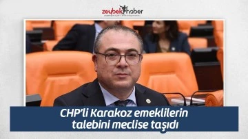 CHP&rsquo;li Karakoz emeklilerin talebini meclise taşıdı