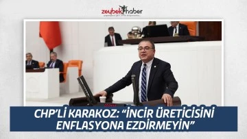 CHP&rsquo;Lİ KARAKOZ: &ldquo;İNCİR &Uuml;RETİCİSİNİ ENFLASYONA EZDİRMEYİN&rdquo;