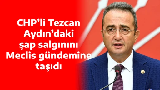 CHP&rsquo;li Tezcan Aydın&rsquo;daki şap salgınını Meclis g&uuml;ndemine taşıdı
