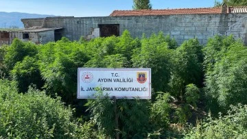 &Ccedil;iftlik evine uyuşturucu baskını: 1 tutuklama