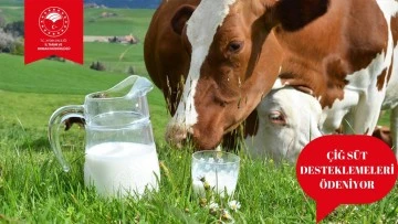 &Ccedil;iğ s&uuml;t destek &ouml;demeleri başladı