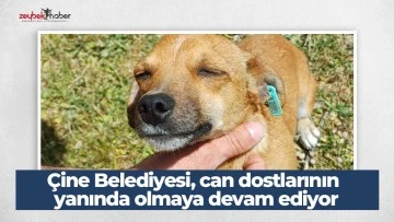 &Ccedil;ine Belediyesi, can dostlarının yanında olmaya devam ediyor