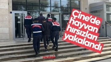 &Ccedil;ine&rsquo;de hayvan hırsızları yakalandı