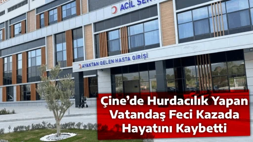 &Ccedil;ine&rsquo;de Hurdacılık Yapan Vatandaş Feci Kazada Hayatını Kaybetti