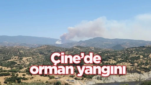 &Ccedil;ine&rsquo;de orman yangını