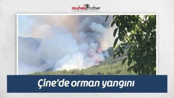 &Ccedil;ine&rsquo;de orman yangını