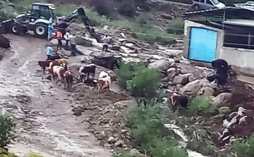 &Ccedil;ine'de sel: 4 b&uuml;y&uuml;kbaş hayvan kayboldu, trakt&ouml;r sel sularına kapıldı