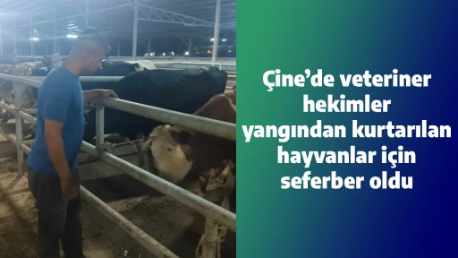 &Ccedil;ine&rsquo;de veteriner hekimler, yangından kurtarılan hayvanlar i&ccedil;in seferber oldu