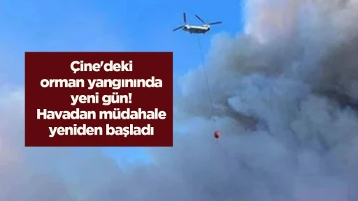 &Ccedil;ine'deki orman yangınında yeni g&uuml;n! Havadan m&uuml;dahale yeniden başladı