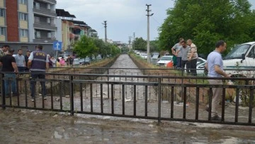 &Ccedil;ine Venedik&rsquo;e d&ouml;nd&uuml;