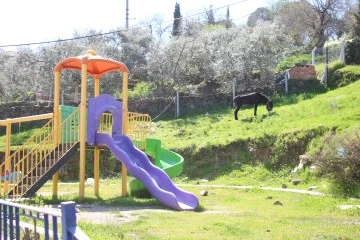 &Ccedil;ocukların yokluğunda parklar eşeklere kaldı
