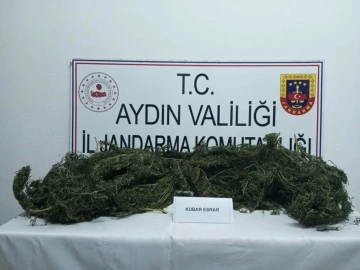 &Ccedil;uvala koyduğu 10 kilo uyuşturucu ile yakalandı