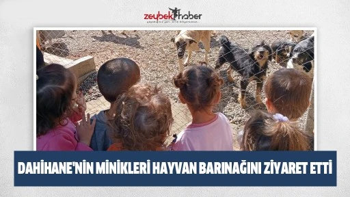 Dahihane'nin Minikleri Hayvan Barınağını Ziyaret Etti