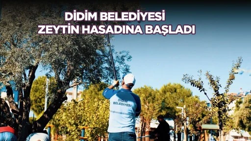 Dalından sofraya uzanan yolculuk
