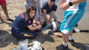 Denize giren yaşlı kadın boğuldu