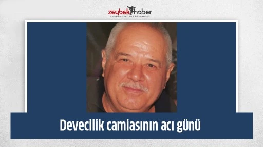 Devecilik camiasının acı g&uuml;n&uuml;