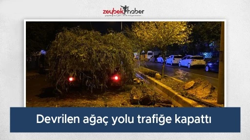 Devrilen ağa&ccedil; yolu trafiğe kapattı