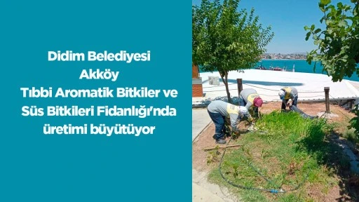 Didim Belediyesi Akk&ouml;y Tıbbi Aromatik Bitkiler ve S&uuml;s Bitkileri Fidanlığı'nda &uuml;retimi b&uuml;y&uuml;t&uuml;yor