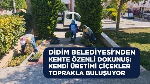 DİDİM BELEDİYESİ'NDEN KENTE &Ouml;ZENLİ DOKUNUŞ: KENDİ &Uuml;RETİMİ &Ccedil;İ&Ccedil;EKLER TOPRAKLA BULUŞUYOR