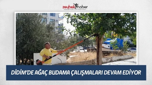 DİDİM&rsquo;DE AĞA&Ccedil; BUDAMA &Ccedil;ALIŞMALARI DEVAM EDİYOR