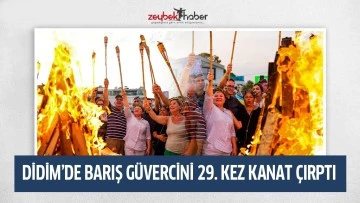 DİDİM&rsquo;DE BARIŞ G&Uuml;VERCİNİ 29. KEZ KANAT &Ccedil;IRPTI