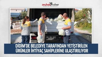 DİDİM&rsquo;DE BELEDİYE TARAFINDAN YETİŞTİRİLEN &Uuml;R&Uuml;NLER İHTİYA&Ccedil; SAHİPLERİNE ULAŞTIRILIYOR