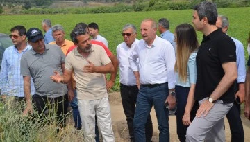 Didim&rsquo;de erkenci karpuz hasadı yapıldı