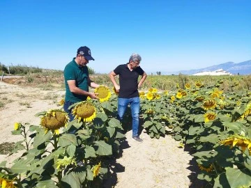 Didim&rsquo;de haftalık kontroller devam ediyor
