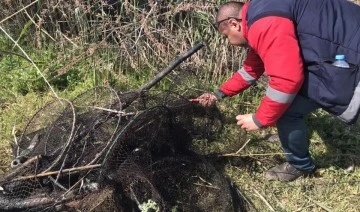 Didim&rsquo;de ka&ccedil;ak yakalanan balıklar suya geri bırakıldı