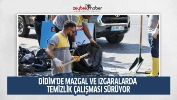 DİDİM&rsquo;DE MAZGAL VE IZGARALARDA TEMİZLİK &Ccedil;ALIŞMASI S&Uuml;R&Uuml;YOR