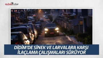 DİDİM&rsquo;DE SİNEK VE LARVALARA KARŞI İLA&Ccedil;LAMA &Ccedil;ALIŞMALARI S&Uuml;R&Uuml;YOR