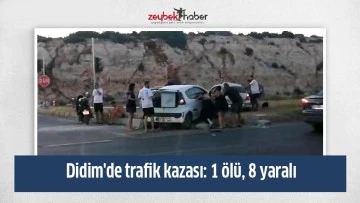 Didim'de trafik kazası: 1 &ouml;l&uuml;, 8 yaralı
