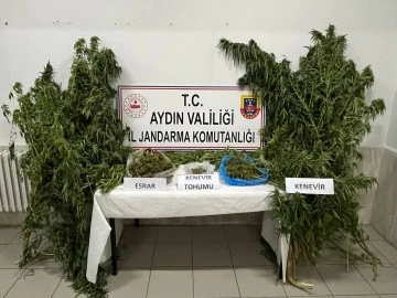 Didim'de uyuşturucu operasyonu: 1 g&ouml;zaltı