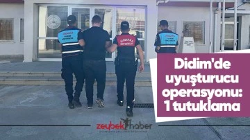 Didim'de uyuşturucu operasyonu: 1 tutuklama