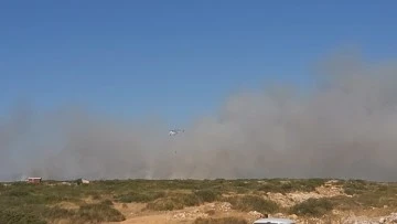 Didim&rsquo;deki yangını s&ouml;nd&uuml;rme &ccedil;alışmaları devam ediyor