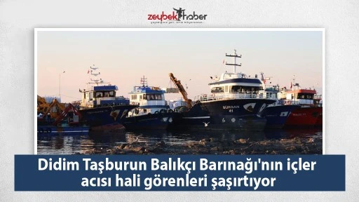 Didim Taşburun Balık&ccedil;ı Barınağı'nın i&ccedil;ler acısı hali g&ouml;renleri şaşırtıyor