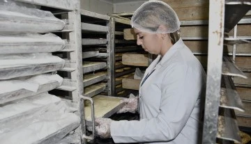 Didimli fırıncılara hijyen eğitimi verilecek