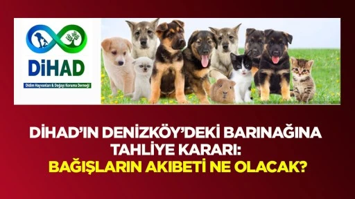 DİHAD&rsquo;ın Denizk&ouml;y&rsquo;deki Barınağına Tahliye Kararı:  Bağışların Akıbeti Ne Olacak?