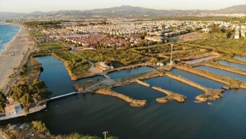 Doğaseverlerden Kocag&ouml;l i&ccedil;in &ldquo;Tabiat Parkı&rdquo; stat&uuml;s&uuml; talebi