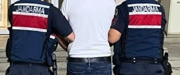 D&ouml;viz hırsızları &Ccedil;ine&rsquo;de yakalandı