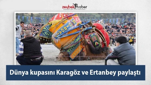 D&uuml;nya kupasını Karag&ouml;z ve Ertanbey paylaştı