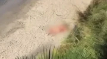 D&uuml;nyaca &uuml;nl&uuml; plajda '&ccedil;ıplak turist' vakası