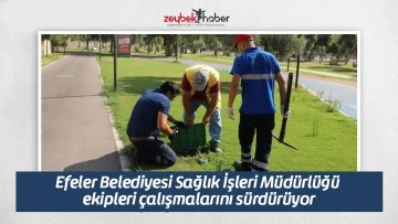 Efeler Belediyesi Sağlık İşleri M&uuml;d&uuml;rl&uuml;ğ&uuml; ekipleri &ccedil;alışmalarını s&uuml;rd&uuml;r&uuml;yor