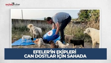 EFELER&rsquo;İN EKİPLERİ CAN DOSTLAR İ&Ccedil;İN SAHADA