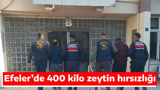 Efeler&rsquo;de 400 kilo zeytin hırsızlığı
