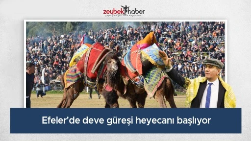Efeler'de deve g&uuml;reşi heyecanı başlıyor