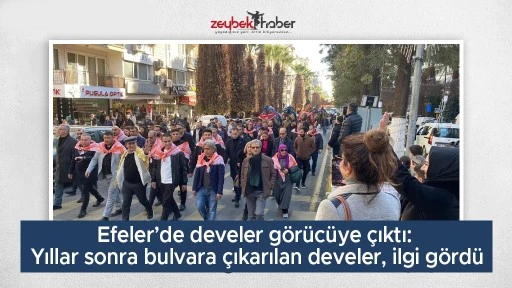 Efeler&rsquo;de develer g&ouml;r&uuml;c&uuml;ye &ccedil;ıktı: Yıllar sonra bulvara &ccedil;ıkarılan develer, ilgi g&ouml;rd&uuml;