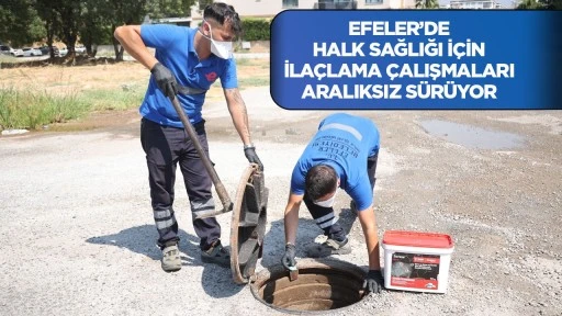 Efeler'de halk sağlığı i&ccedil;in ila&ccedil;lama &ccedil;alışmaları aralıksız s&uuml;r&uuml;yor
